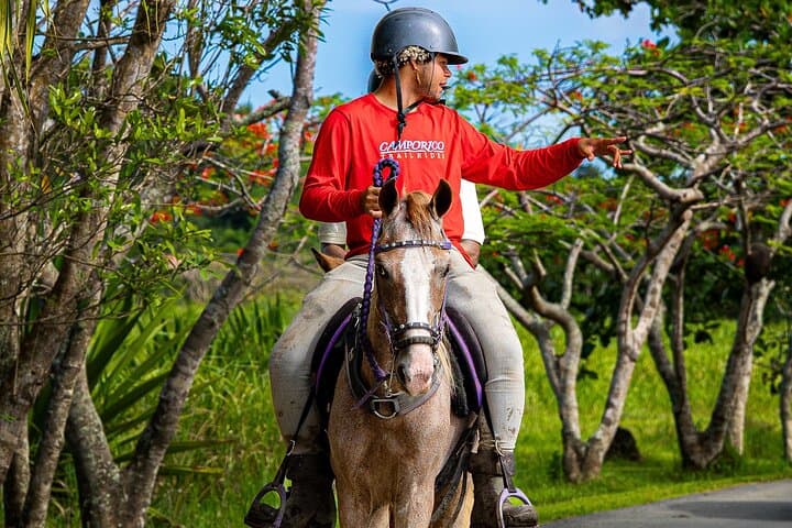 Hacienda Campo Rico Horseback Riding — Paso Fino Ranch Tour Near San Juan photo 3