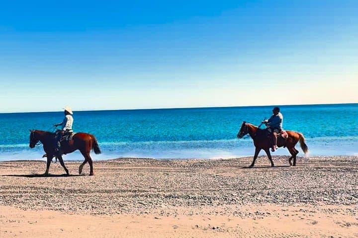 Beach and Desert Horseback Ride from El Coyote to La Paz photo 2