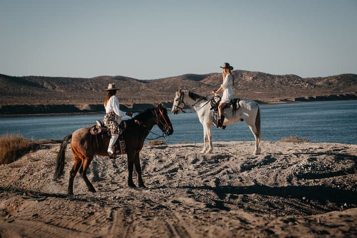 Beach and Desert Horseback Ride from El Coyote to La Paz