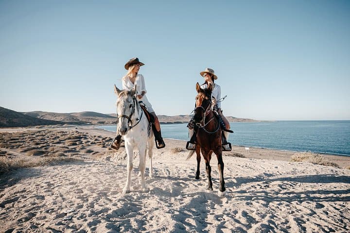 Beach and Desert Horseback Ride from El Coyote to La Paz photo 5