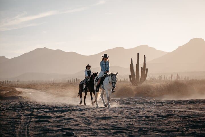 Beach and Desert Horseback Ride from El Coyote to La Paz photo 6