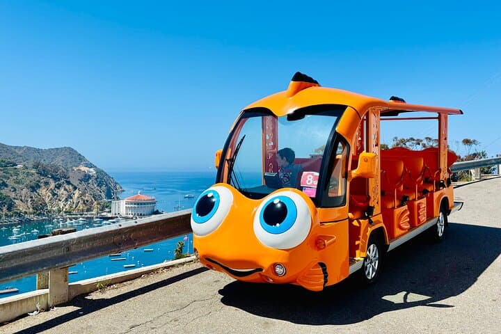 Gary the Garibaldi Avalon Private City Tour: Electric Golf Cart Sightseeing photo 2