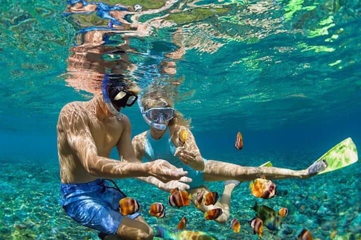 Discover the Underwater Wonders of Bali's Blue Lagoon photo 4