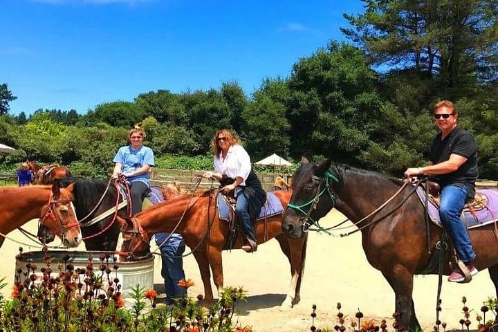Ride the Redwoods: Private Horseback & Muir Woods Day Trip from San Francisco photo 1