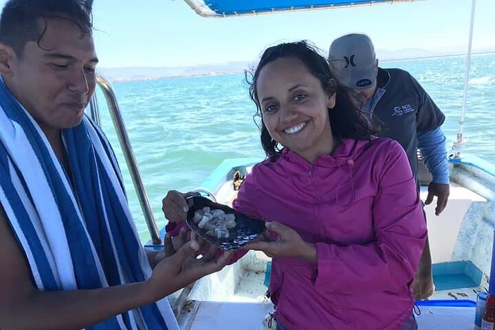La Paz Mangrove Snorkel and Shellfish Tasting: Guided Eco-Tour photo 3