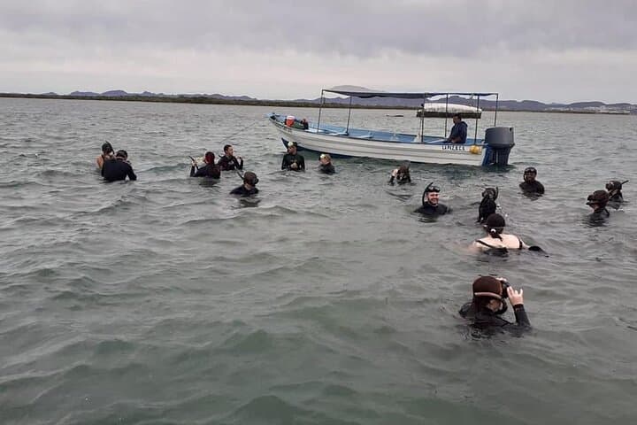 La Paz Mangrove Snorkel and Shellfish Tasting: Guided Eco-Tour photo 5
