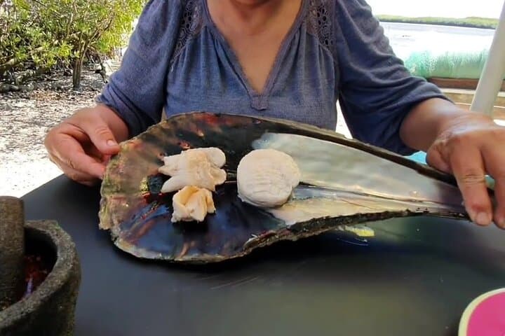 La Paz Mangrove Snorkel and Shellfish Tasting: Guided Eco-Tour