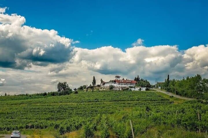 Day Trip from Bucharest: Slănic Salt Mine, Winery Lunch & Dracula’s Grave photo 6