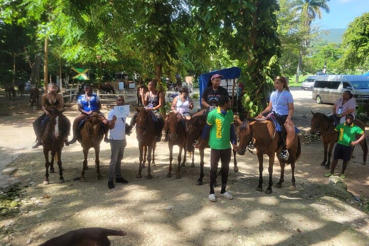 Runaway Bay Horseback Ride, Bamboo Rafting & Blue Hole Adventure photo 5