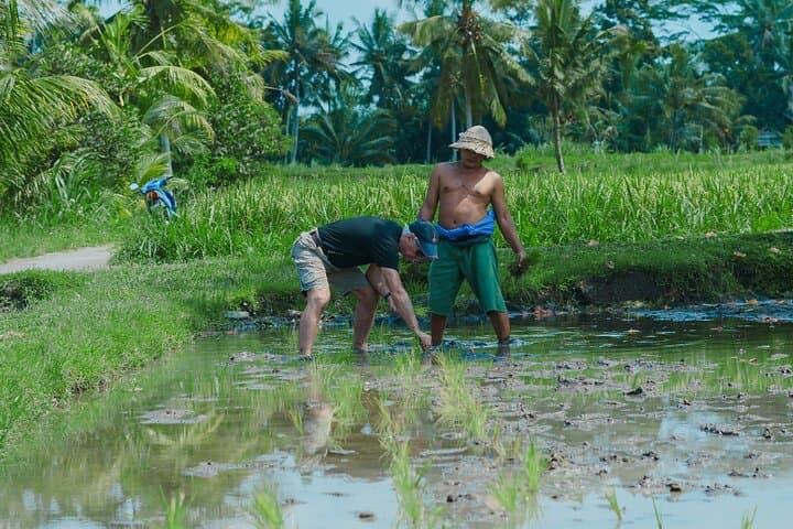 Healing Bali: 4-Day Cultural & Wellness Escape from Seminyak photo 2