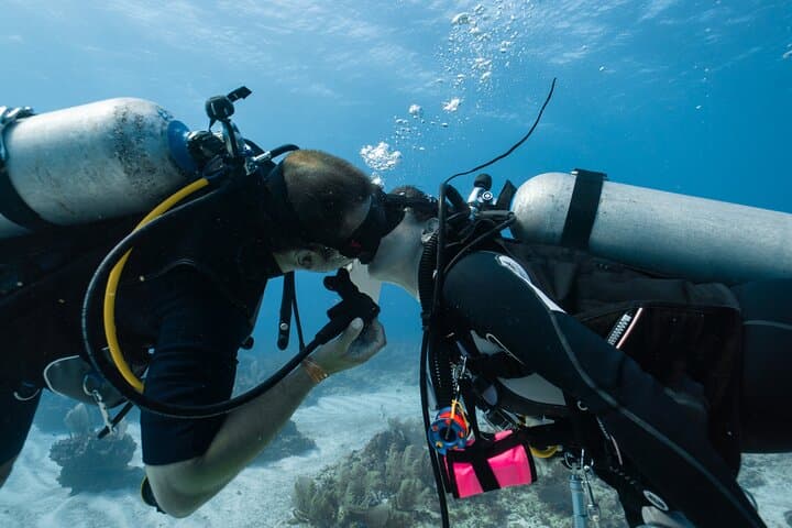 Beginner Scuba Diving in Antalya: Two Guided Shallow Dives with Lunch photo 5
