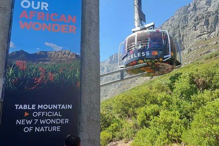 Private Cape of Good Hope Tour from Cape Town — Chapman's Peak, Penguins & Cape Point photo 2