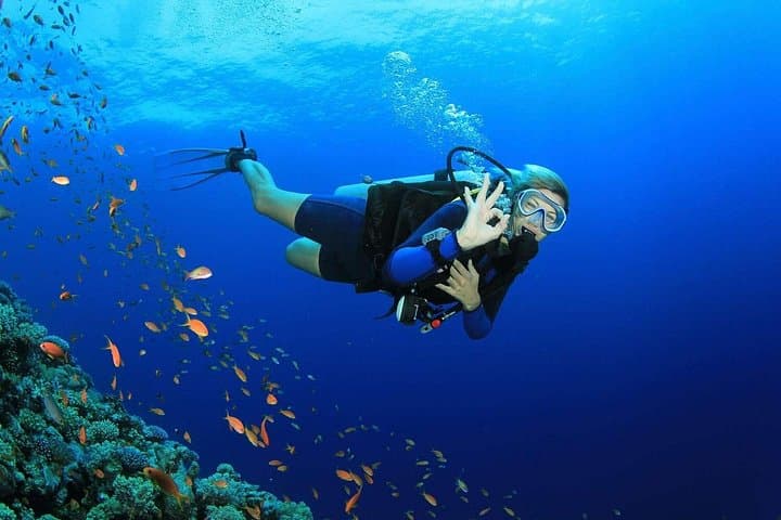 Scuba Diving Dubai: Shipwrecks, Reefs & Arabian Gulf Marine Life