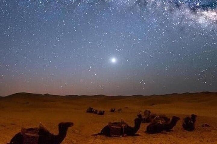 Hurghada-Desert-Stargazing-Bedouin-Dinner-Jeep-Safari photo 5