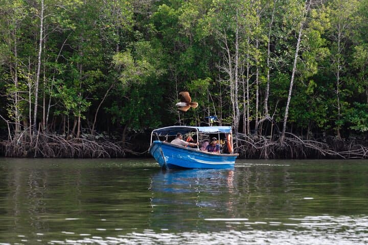 Kilim River Mangrove Boat Tour — 3-Hour Kilim GeoForest Adventure with Lunch