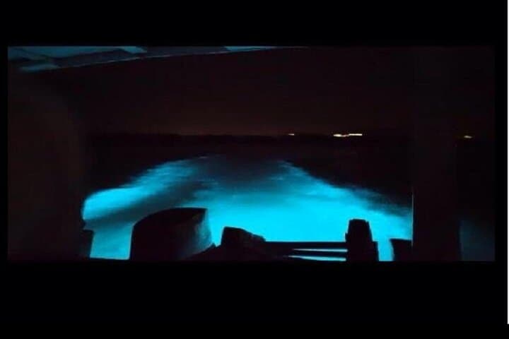 Luminous Lagoon Night Tour — Bioluminescent Boat Experience in Falmouth, Jamaica photo 3