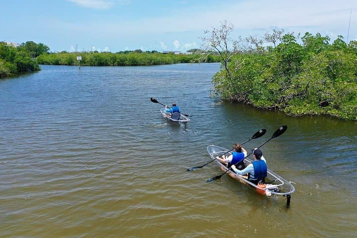 Paddle Over the Depths: Clear Kayak Eco-Tour of Tarpon Springs Sponge Docks photo 4