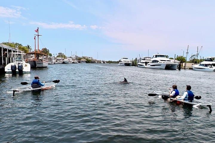 Paddle Over the Depths: Clear Kayak Eco-Tour of Tarpon Springs Sponge Docks photo 3