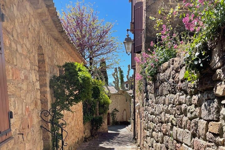 Provence Pearl: Lavender, Wine & Verdon Day Tour from Nice photo 2
