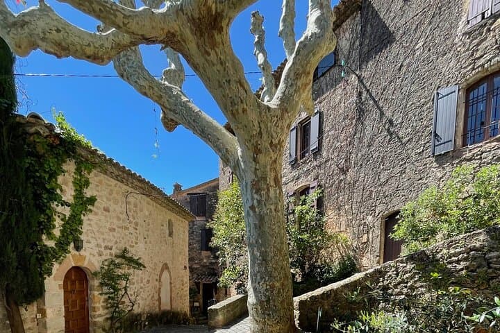 Provence Pearl: Lavender, Wine & Verdon Day Tour from Nice photo 4