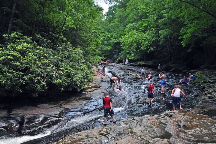 Da Lat Canyoning at Datanla: Abseil, Natural Slides & Tyrolean Traverse with Picnic Lunch photo 3