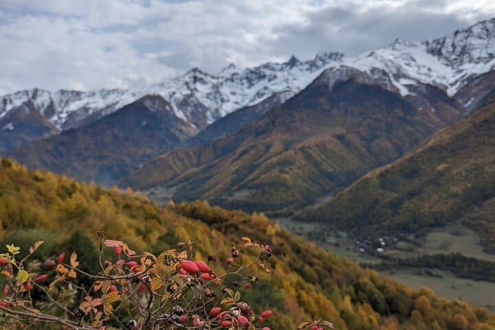mountains-and-wonders-explore-svaneti-racha-samegrelo-imereti