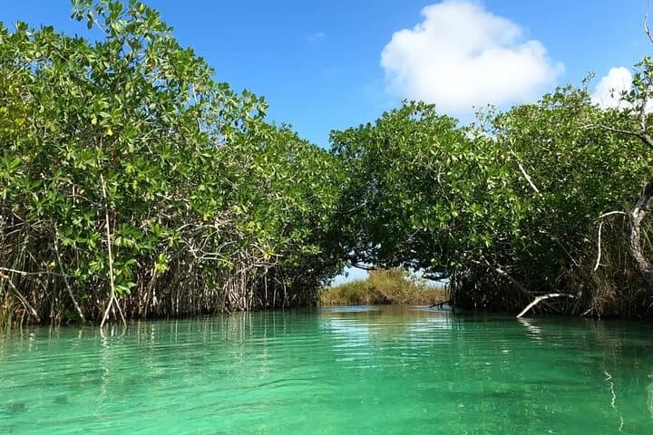 Sian Ka'an Biosphere Reserve Lazy Rivers, Muyil Ruins & Tulum Taco Tour photo 3