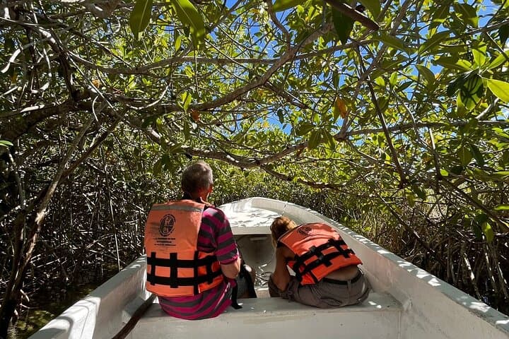 Sian Ka'an Biosphere Reserve Lazy Rivers, Muyil Ruins & Tulum Taco Tour photo 5