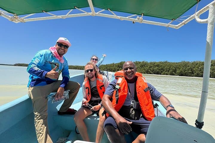 Celestún Mangrove Boat Tour from Mérida — Flamingos, Mangrove Tunnel & Beach Day photo 1