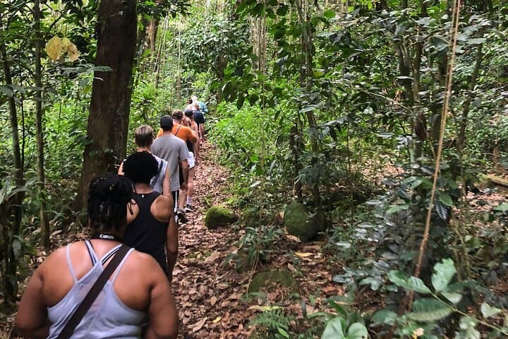Hike Mount Liamuiga: Summit St Kitts’ Volcanic High Point photo 2