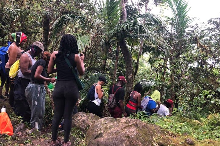 Hike Mount Liamuiga: Summit St Kitts’ Volcanic High Point photo 4