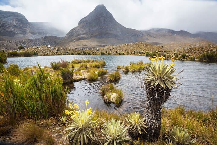 Chingaza Páramo Day Tour from Bogotá — Guided Visit to Glacial Lagoons photo 2