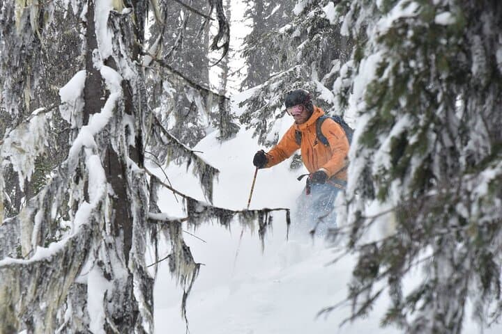 12-Day Powder Highway Ski and Snowboard Tour — Calgary to Kicking Horse photo 3