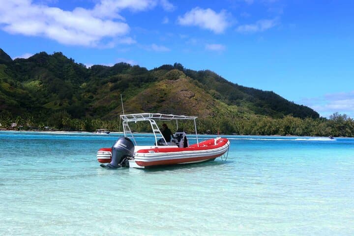 Moorea Half-Day Lagoon Discovery: Private Snorkel with Rays & Turtles