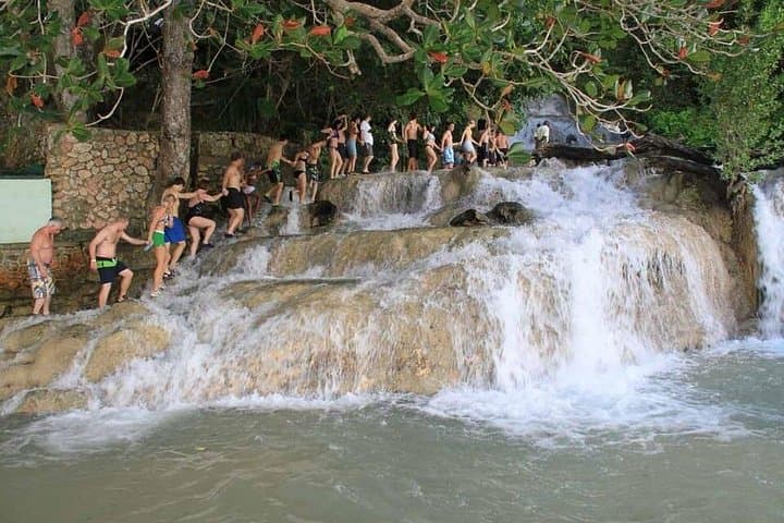All-In-One Saint Ann Full-Day Tour: Dunn's River, Brown’s Town Market & Marcus Garvey Heritage photo 6