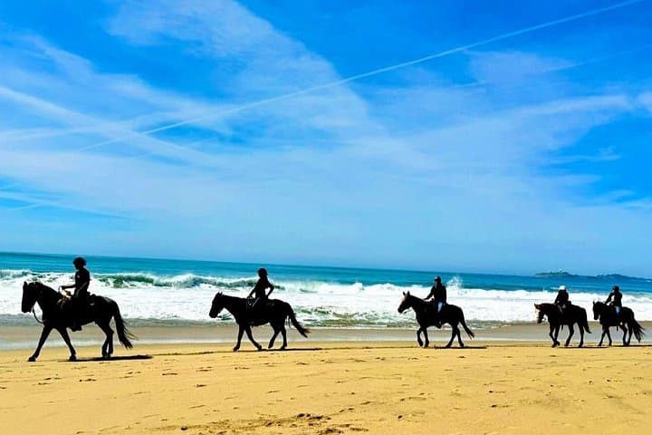Coastal Horseback Ride and Alcatraz Combo: Beach Saddles to The Rock photo 1