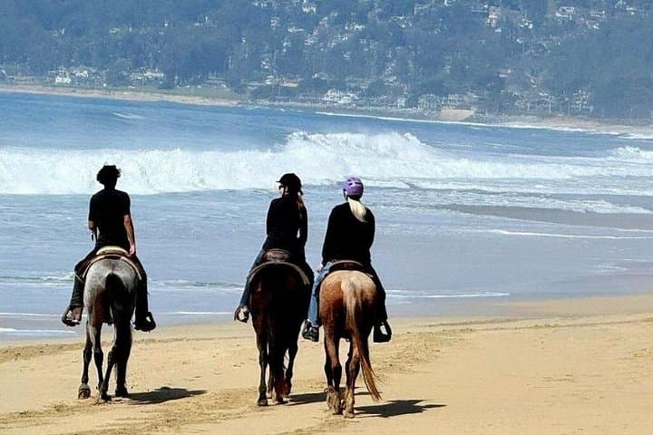 Coastal Horseback Ride and Alcatraz Combo: Beach Saddles to The Rock photo 3
