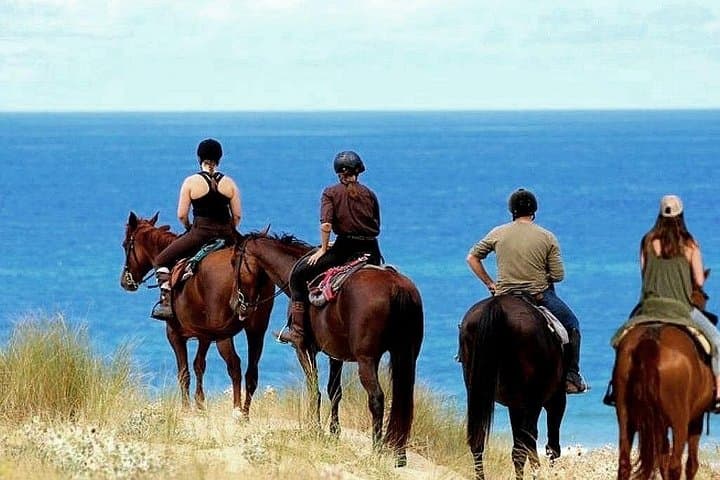 Coastal Horseback Ride and Alcatraz Combo: Beach Saddles to The Rock photo 4