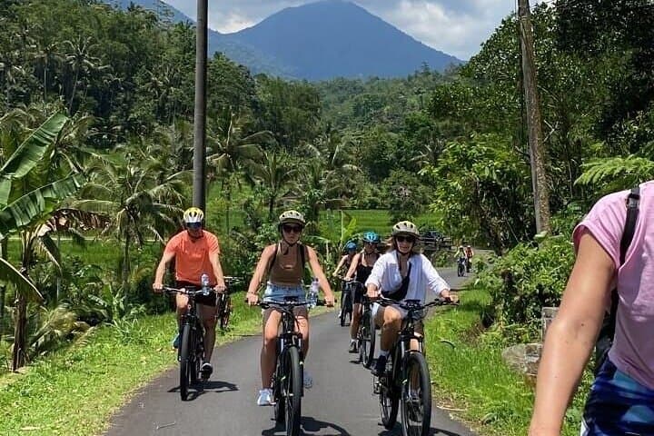 Bali Downhill Cycling: Kintamani to Ubud Private Tour