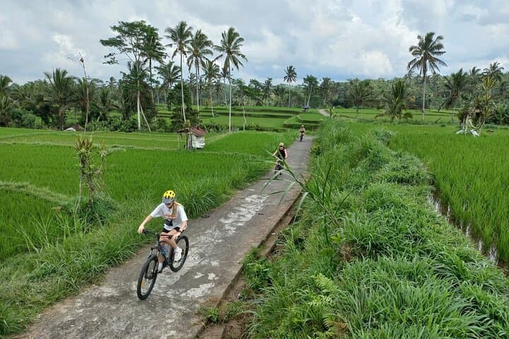 Bali Downhill Cycling: Kintamani to Ubud Private Tour photo 3