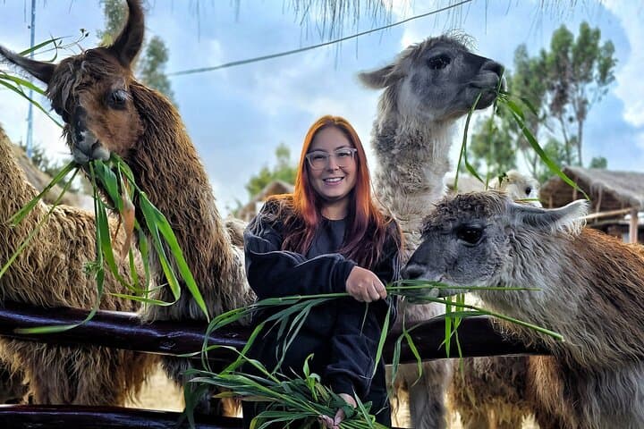 Cusco Viewpoints & Streets Photo Tour — Best Photo Spots and Practical Tips