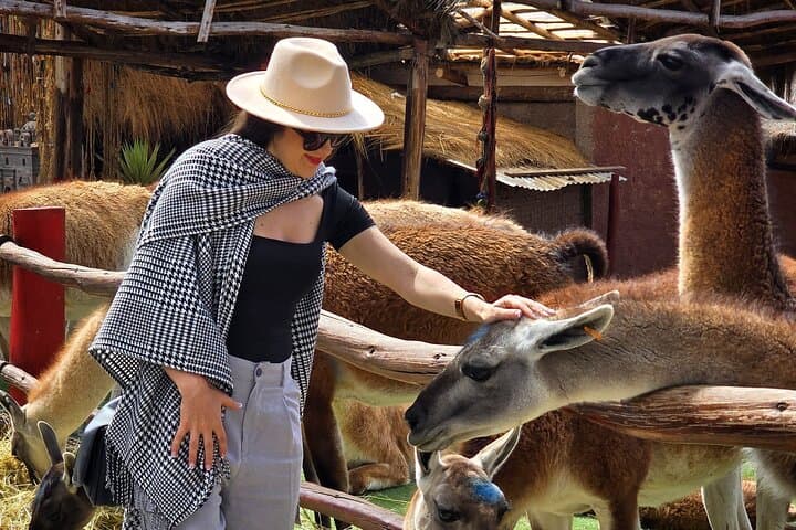 Cusco Viewpoints & Streets Photo Tour — Best Photo Spots and Practical Tips photo 5