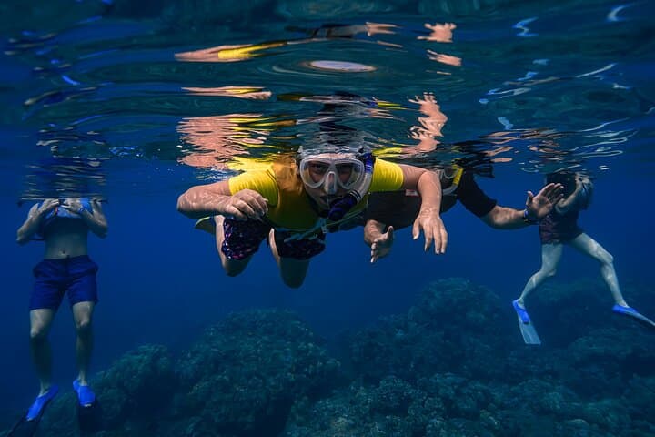 Wailea Beginner Snorkel for Non-Swimmers: Safe Guided Turtle Tours photo 5