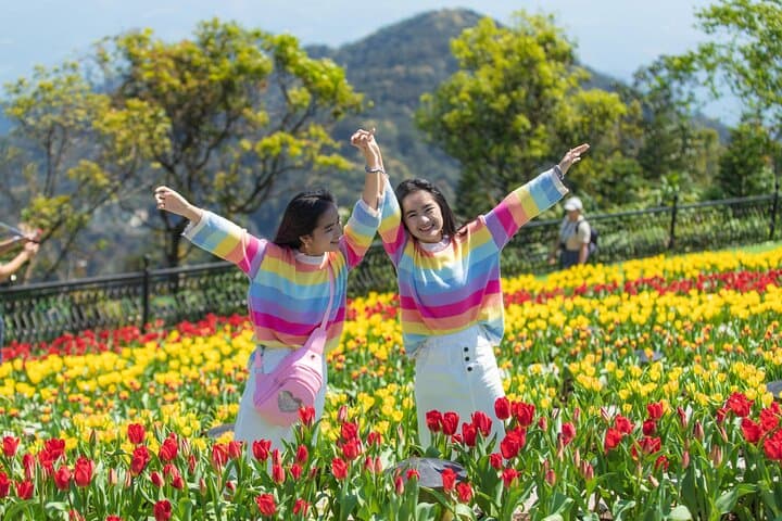 Ba Na Hills Day Trip: Golden Bridge, Cable Car & French Village from Da Nang photo 4
