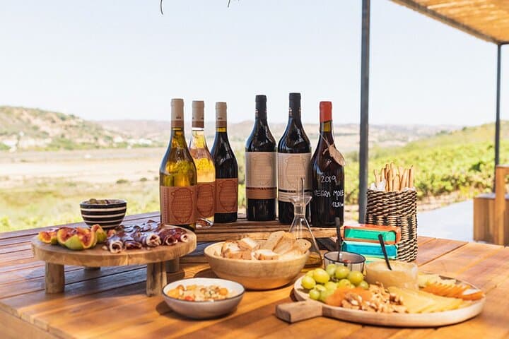 Private Boat to Vineyard from Lagos: Algarve Wine Tasting Cruise
