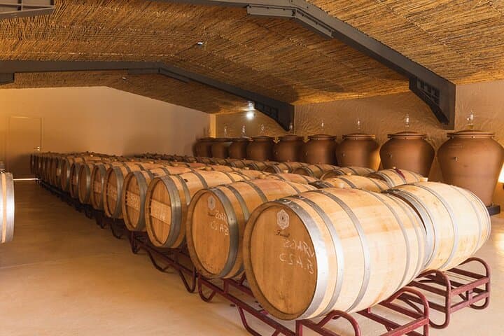 Private Boat to Vineyard from Lagos: Algarve Wine Tasting Cruise photo 2