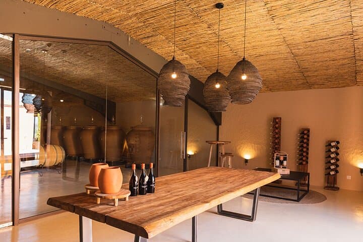 Private Boat to Vineyard from Lagos: Algarve Wine Tasting Cruise photo 3