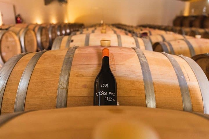 Private Boat to Vineyard from Lagos: Algarve Wine Tasting Cruise photo 6