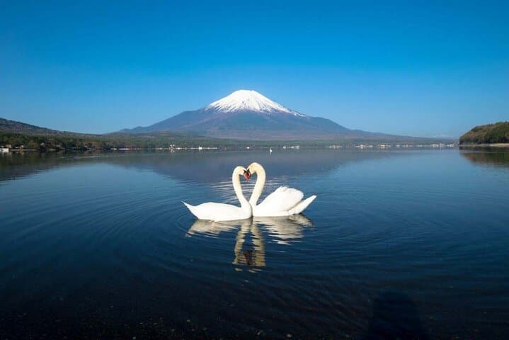 Day Trip to Mt. Fuji & Fuji Five Lakes: Kawaguchiko, Chureito, Ropeway and More photo 4