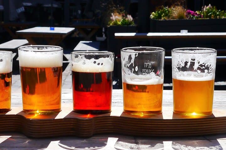 North Fork Wine Tour: Greenport Sights, Oysters & Small Plates (Half-Day) photo 6